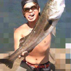 今日はトップオンリー